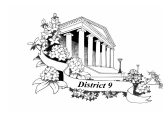 District IX logo