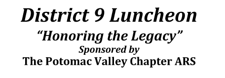 District IX Luncheon June 2010