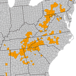 R. arborescens distribution map