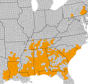 R. canescence distribution map