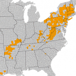 R. prinophyllum distribution map
